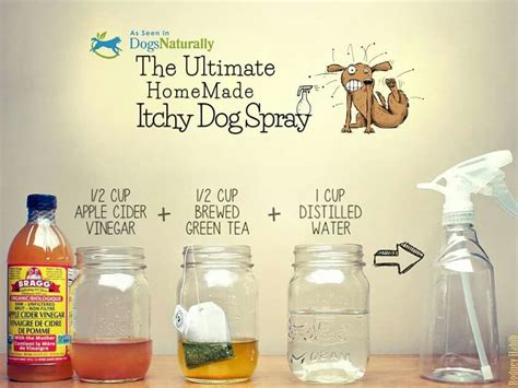 why spray dogs with vinegar.